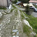 Zamangspitzhuette Myrelaxs Alpenrose *